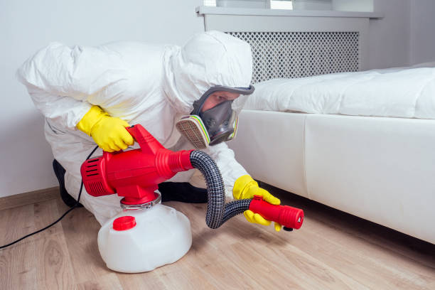 Professional Pest control in Troy, NY